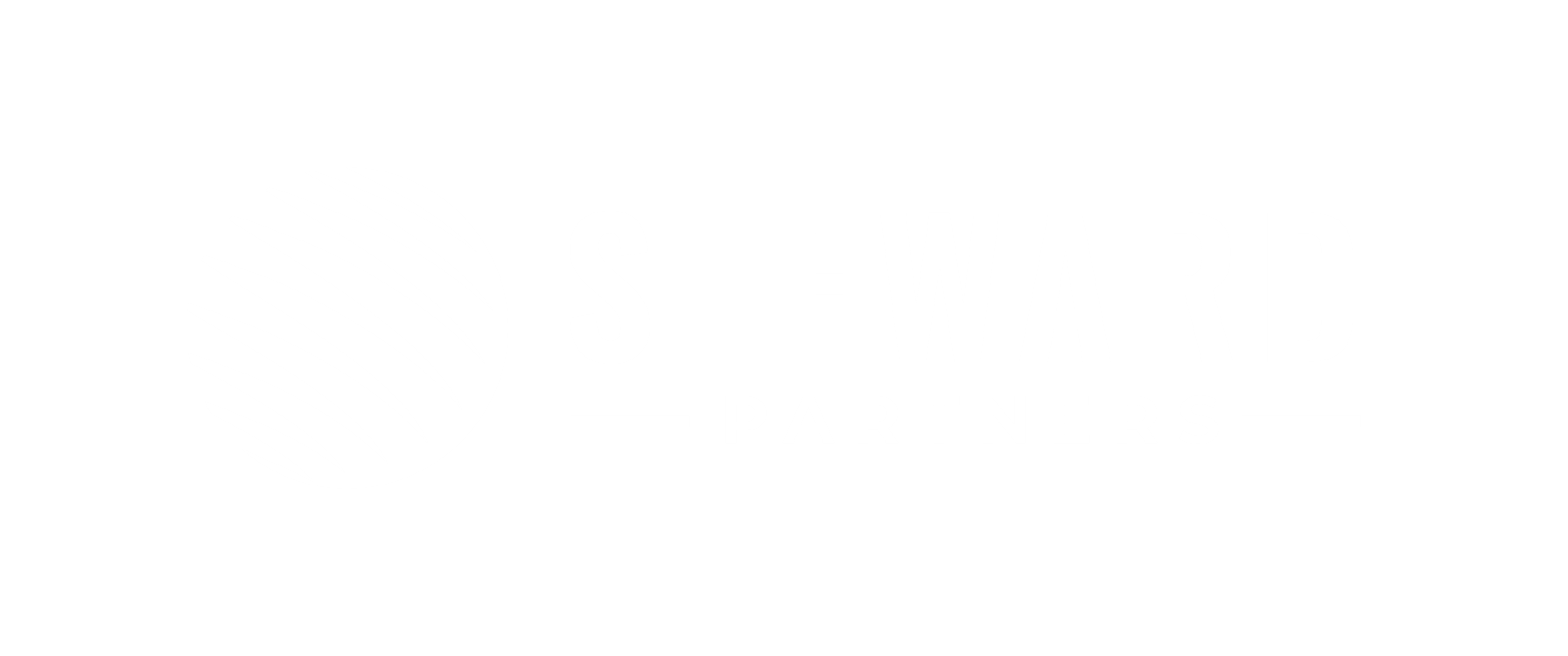 Steward