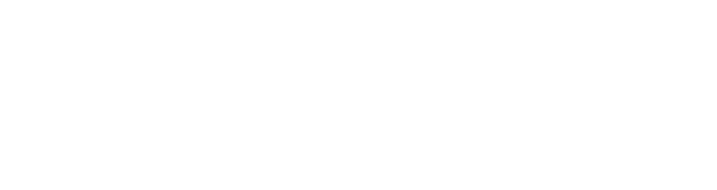 Steward Partners logo